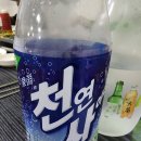 성남집