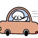 가평노팅힐계곡애견펜션 이미지