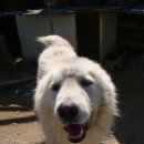 아래농장 이미지