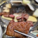 강릉한우금송아지 | 제일 먼저 가야하는 최고의 한우 맛집, 감동의 재방문 후기 - 강릉한우 금송아지 ＃콜키지프리 ＃내돈내산