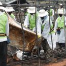 둥지축산 이미지