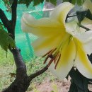 자연농장 이미지