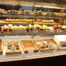 섬타르 서울숲 이미지