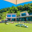 플레이독애견풀빌라
