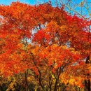 🚚믿음으로 살았던 아브라함🟢창세기 이야기 이미지