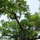 수산리-17 이미지