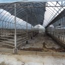 강원농장 이미지