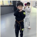 미르태권도장 이미지