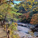 맑은길주차장 이미지