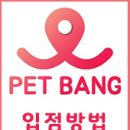 찰리애견미용샵 이미지