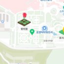 바니타스 플라워