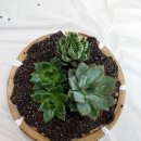 메디움수원요양병원 이미지