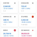 11월11일 이미지
