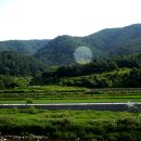 풍수지리(음택, 묘지) 이미지