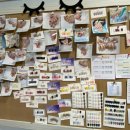 휴먼뷰티아카데미 이미지