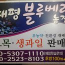약천농장 Daum카페