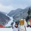 딸부자사우나 | [하이원리조트]8세 아들 인생 첫 스키, 하이원에서 울고 웃은 2박 3일 (월드스키 강습 후기)