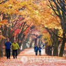 가을여행 이미지