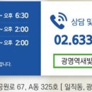 광명역새빛내과의원 티스토리