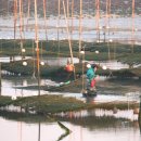 바다농장 이미지