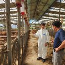 예천한우 이미지