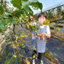 대덕농장2 이미지