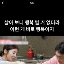 놀아보개 이미지