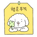 와이커스텀 이미지