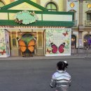 마리나꿈어린이집 | 2회차 에버랜드 35개월 아기랑 엄마 둘이 유모차 무료주차장 후기 정보
