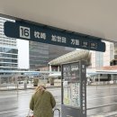 화산마을회관 | 이부스키 : 1박 2일 버스 여행