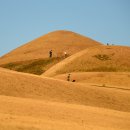 함안박물관 이미지