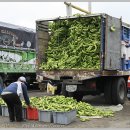 [Otavalo] 안데스 최대 인디오 마켓으로!! 이미지