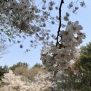 명정고개길 이미지