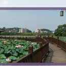 신화온수마루