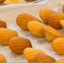 제과제빵기능사(야간) 이미지