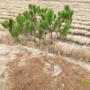 (주)황금농장 이미지