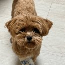 한밭 동물병원 이미지