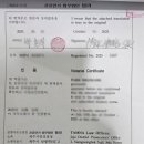 제주공인번역행정사사무소 이미지