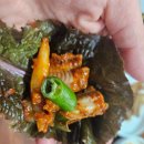 등용 짚불곰장어 이미지