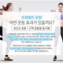 조아점핑다이어트