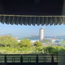 애견호텔1번가 | [내돈내산] 여수여행 숙소, 맛집,놀것 추천 (2박3일,강아지와함께)