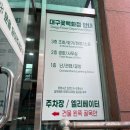 한라중고시장 | [웨딩일기] 웨딩스냅 드레스, 소품 대여(셀프웨딩홈), 부케(너와나의봄/한라꽃집) 추천