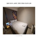2019-03-0073 | 오사카 가성비 숙소 찾은 소테츠 그랜드프레사 다시는 안올래