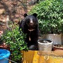 김태진농장 이미지