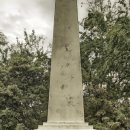 캡틴레스토랑 이미지