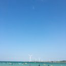 월정리 해변 이미지