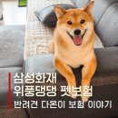 위풍댕댕 | 강아지 보험 삼성화재 위풍댕댕, 시바견 다온이 3년 실제 보상 기록