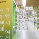 고양안심무인택배함(일산역) 이미지