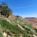 성채농장 | 피기그 오아시스 여행 | Morocco 숨은 보석 완벽 가이드