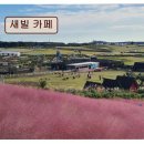 애월환승정류장 | *애월 카페 추천* 새빌 카페 독특한 분위기와 탁 트인 전망이 매력적입니다
